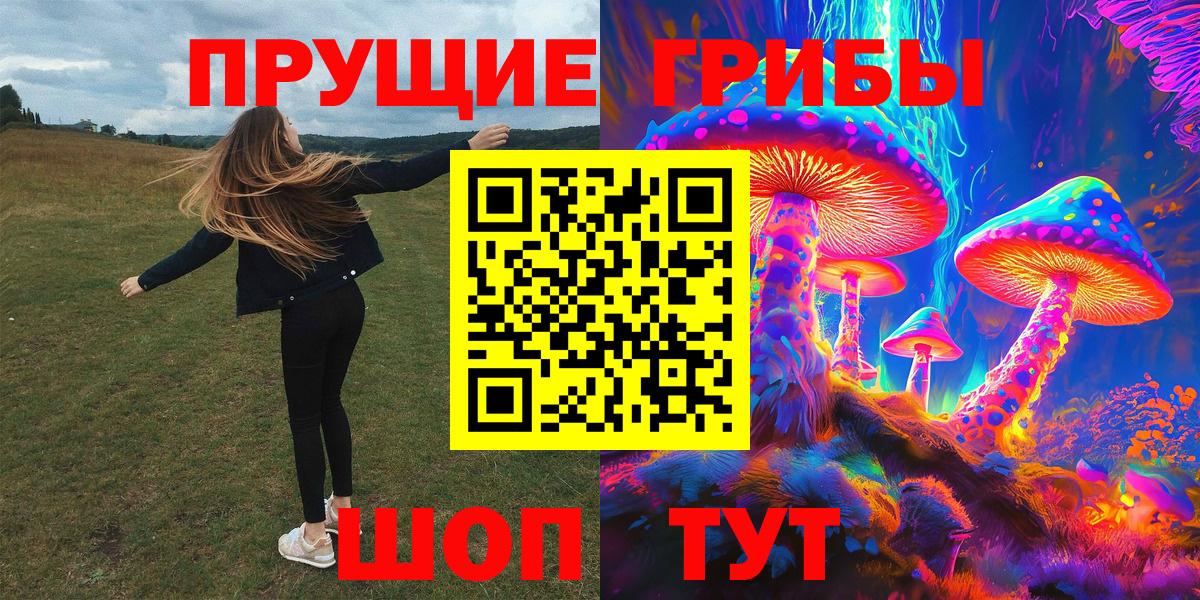 Галлюциногенные грибы прущие грибы  купить   Алексин  Вход с VPN  Галлюциногенные грибы GOLDEN TEACHER 